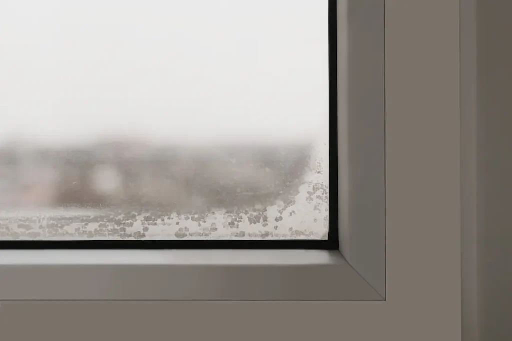 misted double glazed window